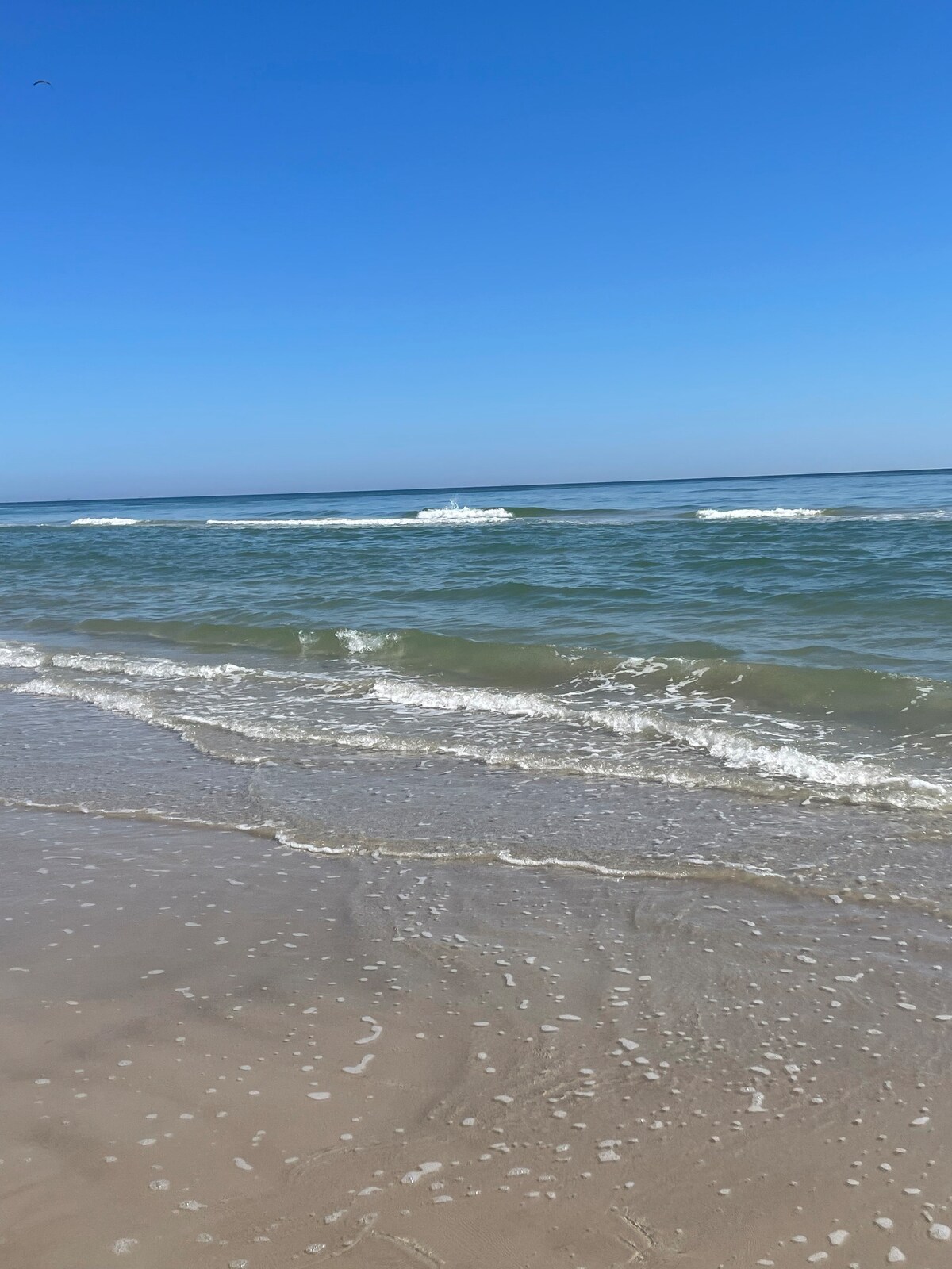 Blue skies and Gulf waves